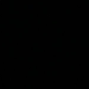 Meet your Posher, Regann